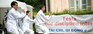 Festival delle discipline interne