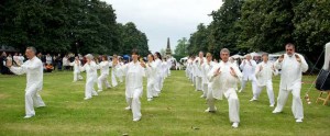 Taiji Festival