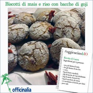 Ricetta Officinalia 2014