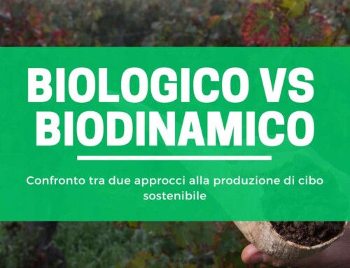Biologico vs biodinamico: qual è la differenza?