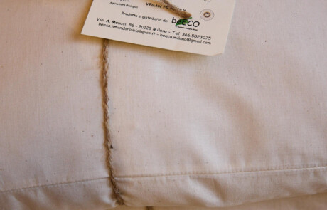 Prodotti naturali ed ecologici per la casa presentati a Officinalia