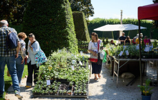 Mercato di piante e vivaio nel giardino del Castello di Belgioioso durante Officinalia
