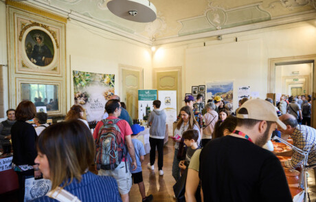 Il Castello di Belgioioso durante la fiera dell’alimentazione biologica