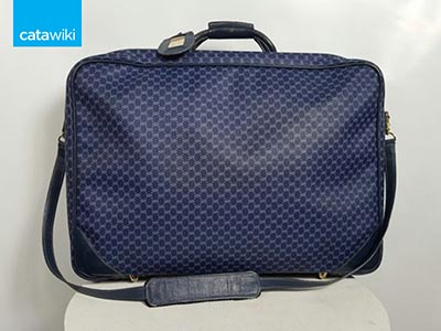 CopyofGucciSuitcase-cw